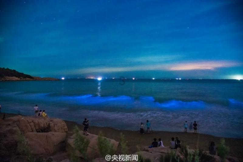 怎样度过失恋期?-有问必答平台,专业解答,为您排忧解难